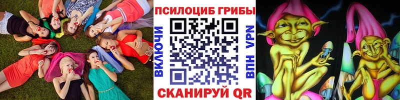 купить наркотик  Феодосия  Псилоцибиновые грибы Psilocybine cubensis 